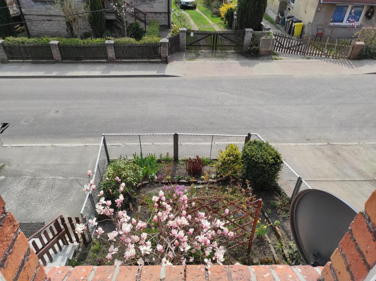 Apartament Pod Jalowcem Gory Sowie 533-543-732 Jedlina-Zdroj Dış mekan fotoğraf