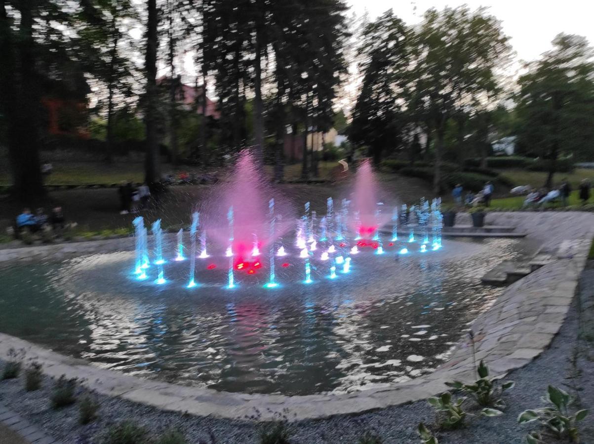 Apartament Pod Jalowcem Gory Sowie 533-543-732 Jedlina-Zdroj Dış mekan fotoğraf